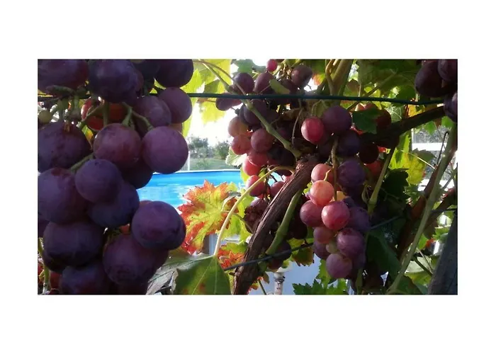 La Davana Parma Tatil Evi *