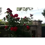 Holiday home La Davana Parma